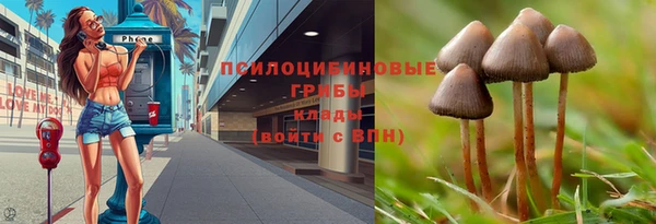 герыч Ельня