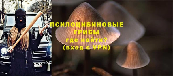 прущие крисы Елабуга