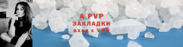 Альфа ПВП Елизово