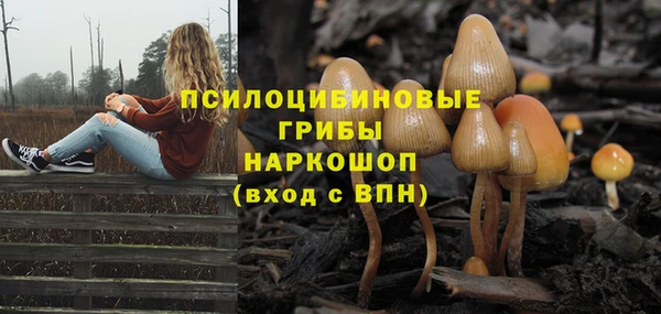 прущие крисы Елабуга