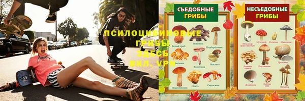 прущие крисы Елабуга