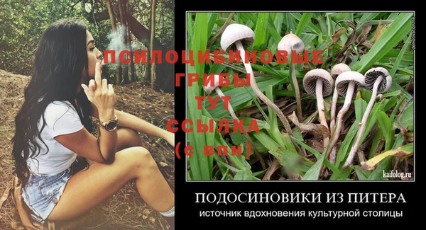 герыч Ельня