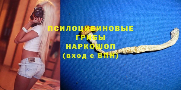 Альфа ПВП Елизово