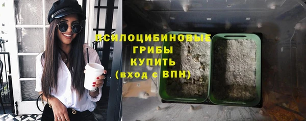 прущие крисы Елабуга