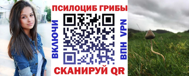 Галлюциногенные грибы Psilocybine cubensis  KRAKEN как войти  Макаров 